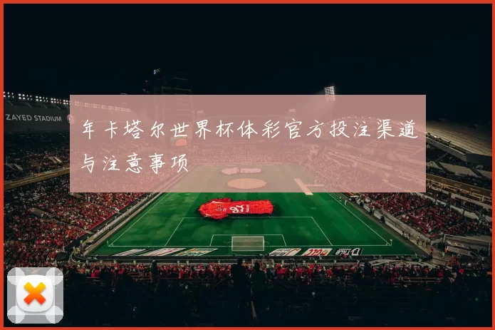 年卡塔尔世界杯体彩官方投注渠道与注意事项