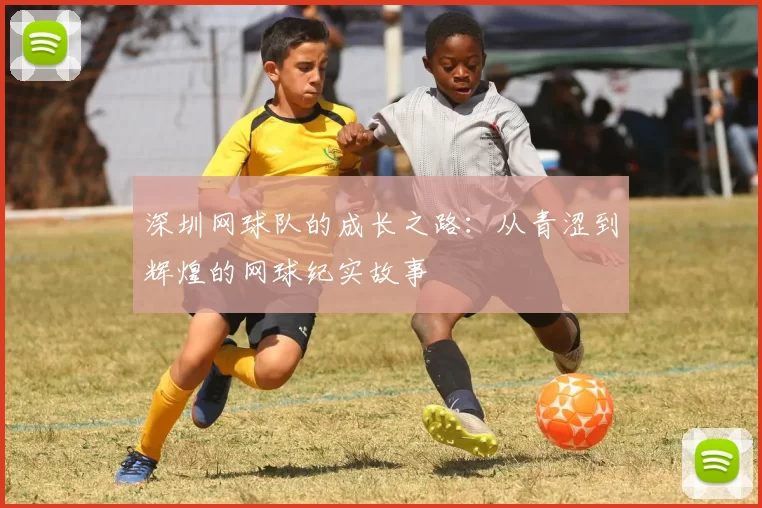 深圳网球队的成长之路：从青涩到辉煌的网球纪实故事