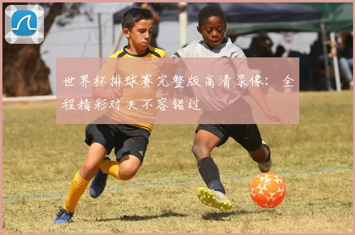 世界杯排球赛完整版高清录像：全程精彩对决不容错过