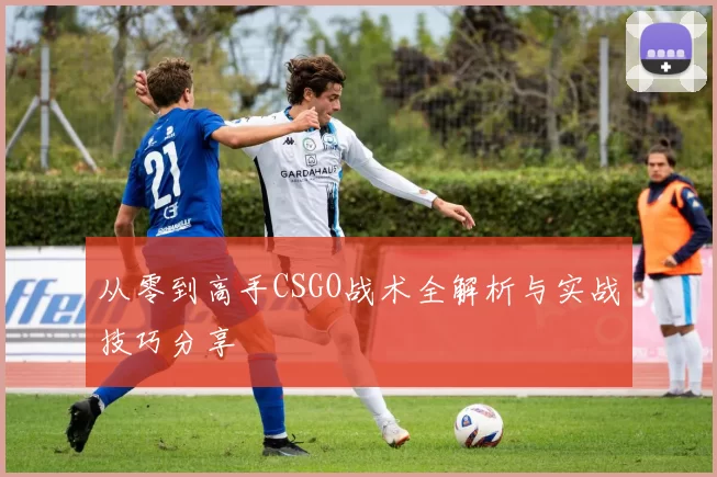 从零到高手CSGO战术全解析与实战技巧分享