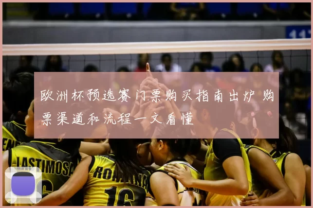 欧洲杯预选赛门票购买指南出炉 购票渠道和流程一文看懂