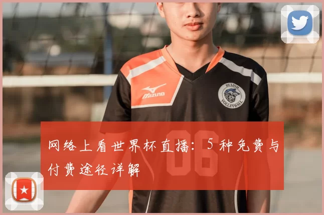 网络上看世界杯直播：5 种免费与付费途径详解