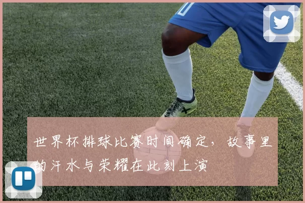 世界杯排球比赛时间确定,故事里的汗水与荣耀在此刻上演