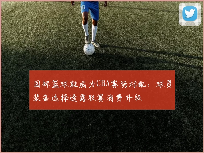国辉篮球鞋成为CBA赛场标配,球员装备选择透露联赛消费升级