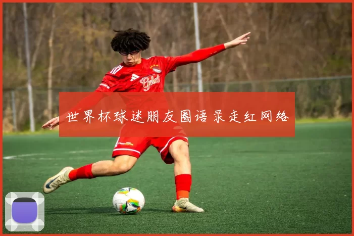 世界杯球迷朋友圈语录走红网络
