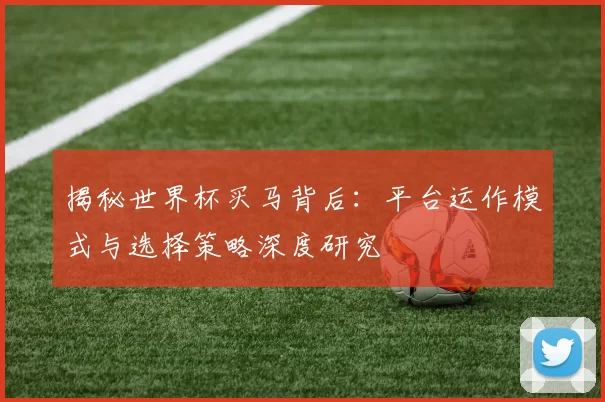 揭秘世界杯买马背后：平台运作模式与选择策略深度研究