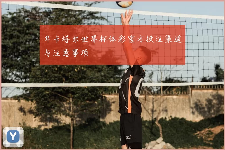 年卡塔尔世界杯体彩官方投注渠道与注意事项