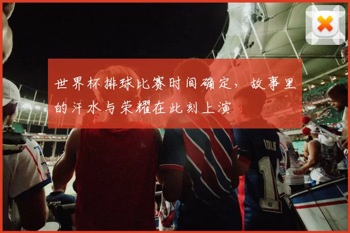 世界杯排球比赛时间确定,故事里的汗水与荣耀在此刻上演