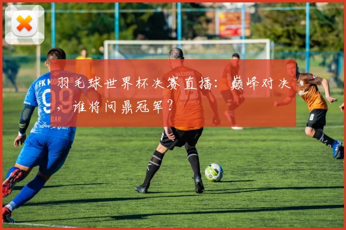 羽毛球世界杯决赛直播：巅峰对决，谁将问鼎冠军？