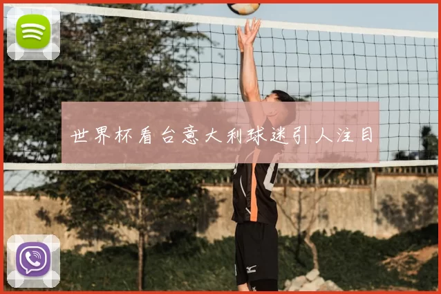 世界杯看台意大利球迷引人注目