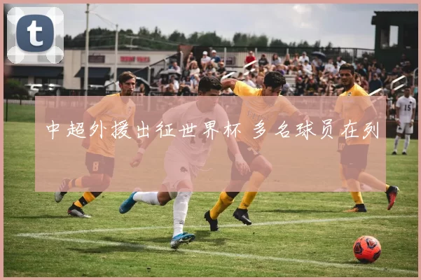 中超外援出征世界杯 多名球员在列