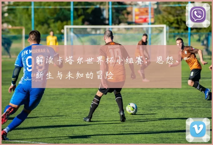 解读卡塔尔世界杯小组赛:恩怨、新生与未知的冒险
